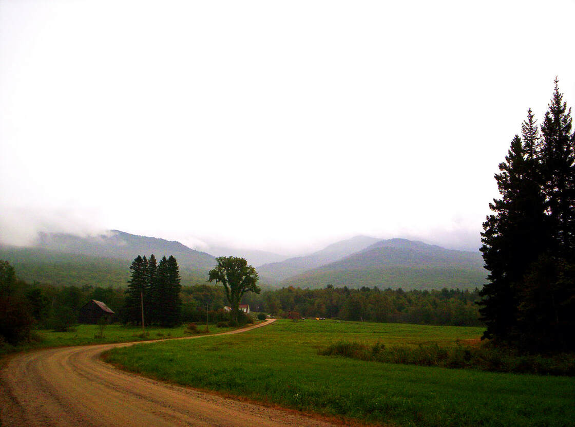 Lost Nation Preserve in mist