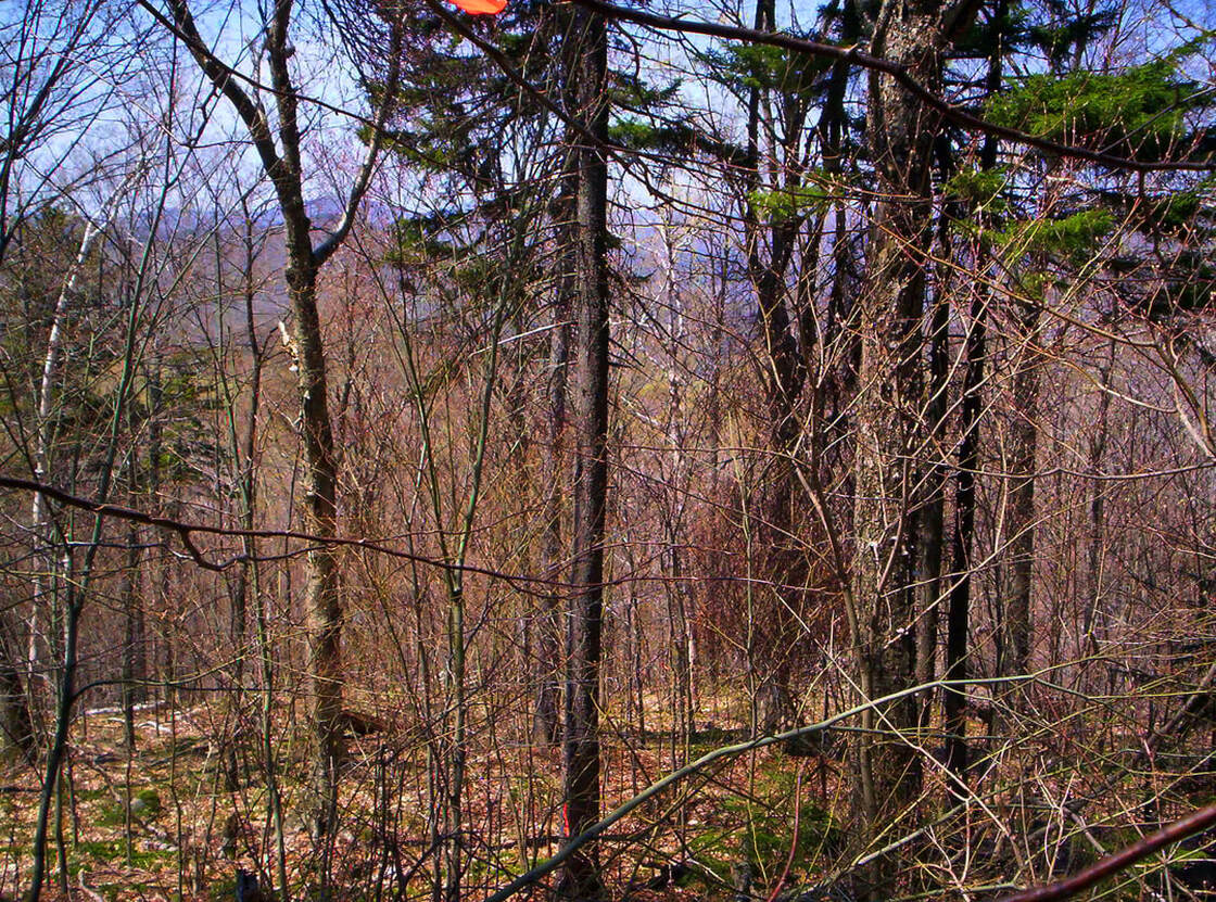 the heights above Ames Brook