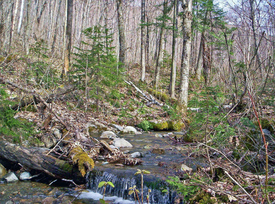 Ames Brook