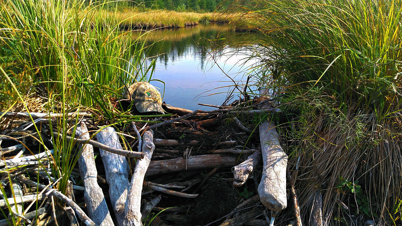 100 acre wetland