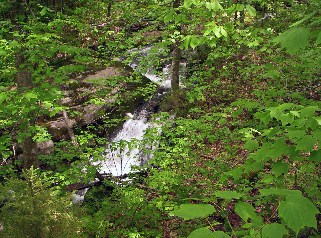 Ames Brook slide