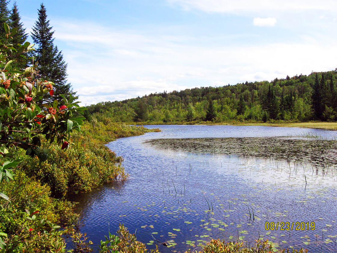 Pond Brook Beaver flowage