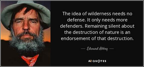 a quote from Edward Abbey